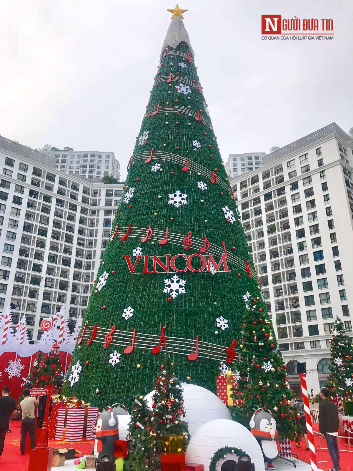 Cây thông được trang trí rất nhiều màu sắc tạo ấn tượng cho người dân thoải mái chiêm ngưỡng.