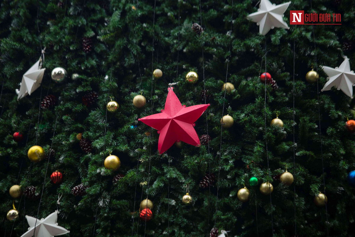 Cây thông được trang trí với nhiều ý tưởng độc đáo.