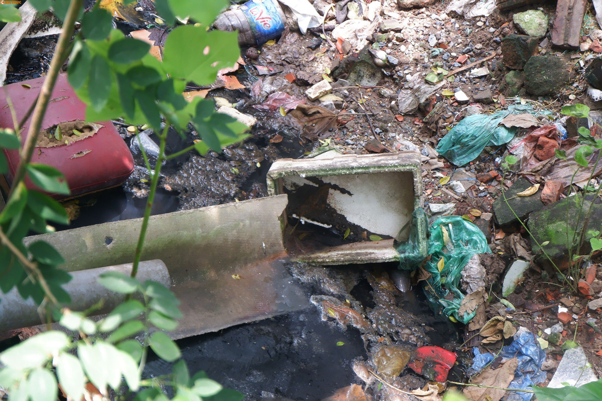 Ngoài việc con mương biến thành bãi rác, đây còn là nơi hội tụ những vũng nước thải sinh hoạt của người dân gây ô nhiễm nghiêm trọng. Khi trời mưa, nước dâng cao gây ảnh hưởng đến nhiều hộ dân trong khu vực.