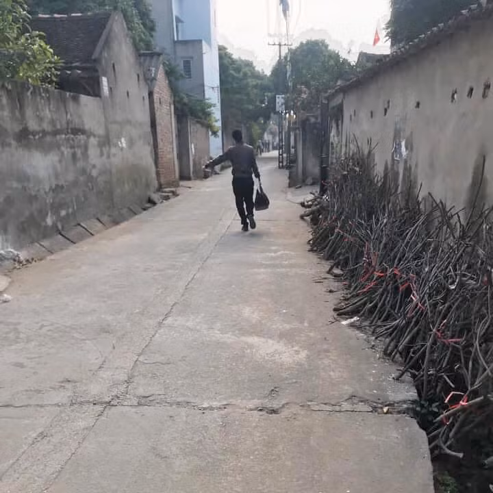 Theo thông tin ban đầu, vụ nghi do tranh chấp đất đai, em chém chết chị rồi tự tử xảy ra vào khoảng 5h ngày 24/12, tại thôn Lầy, xã Đào Viên. 