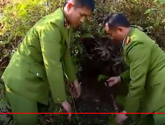 Trên đường bỏ chạy, Sinh đã giấu khẩu súng vào một bụi cây bên khu rừng sau nhà. Sau khi khai nhận, lực lượng chức năng đã nhanh chóng đến nơi Sinh cất giấu để tìm tang vật vụ án.