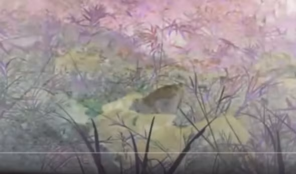 Hanh trinh pha an: Giai ma bi an vu giet ban, giau xac duoi chan deo