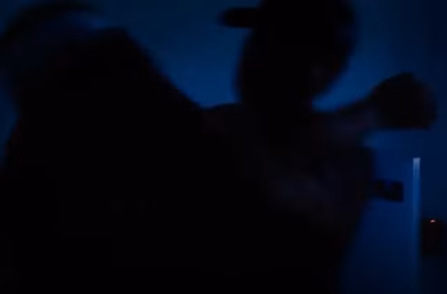 Tối 22/3/2018, Hưng ngủ sớm. Rạng sáng 23/3/2018, y cầm con dao thường ngày mổ heo đến phục kích trước nhà nạn nhân. Chờ bà Đào mở cửa để chuẩn bị dẫn xe ra, Hưng nhảy vào nhà, tay cầm dao chém xối xả nhiều nhát vào người. Khi nạn nhân bất tỉnh, y tháo hết nữ trang và lấy xe máy. Trước khi tẩu thoát, Hưng cẩn thận tắt đèn, khép cửa lại. 