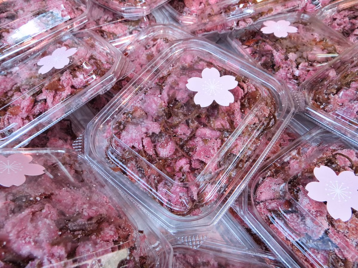  Hoa anh đào ướp muối là nguyên liệu không thể thiếu để làm nên những món ăn nổi tiếng, đặc trưng cho văn hóa Nhật Bản như Sakurayu, Sakura Mochi hay Sakura Yokan...