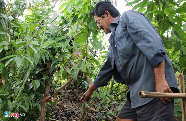 Tổ trưởng khóm 3 chỉ nơi phát hiện một phần thi thể của nạn nhân. Ảnh: M.A.