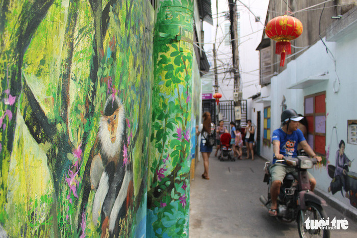 Hình ảnh voọc chà vá chân nâu gần như được xem là biểu tượng của Đà Nẵng - Ảnh: ĐOÀN NHẠN