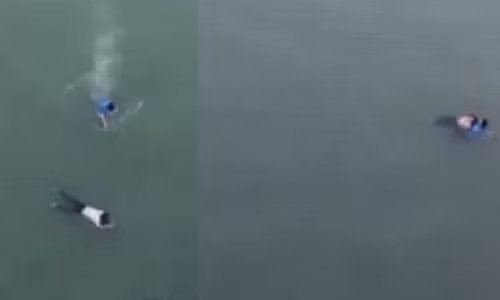 Nam thanh niên lao mình xuống dòng sông để cứu cô gái.