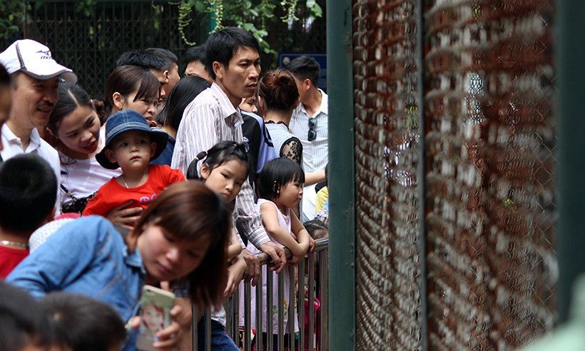 Người dân tham quan các loài động vật trong công viên.