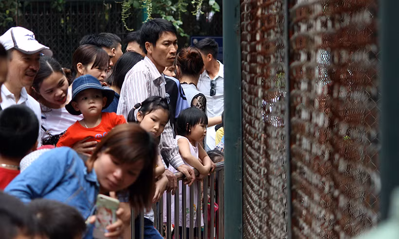 Người dân tham quan các loài động vật trong công viên.