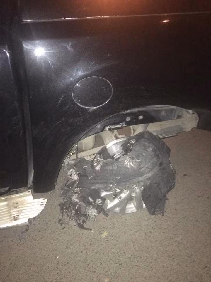 Cận cảnh một bên lốp sau của chiếc ô tô gây tai nạn bị nổ, hư hỏng.