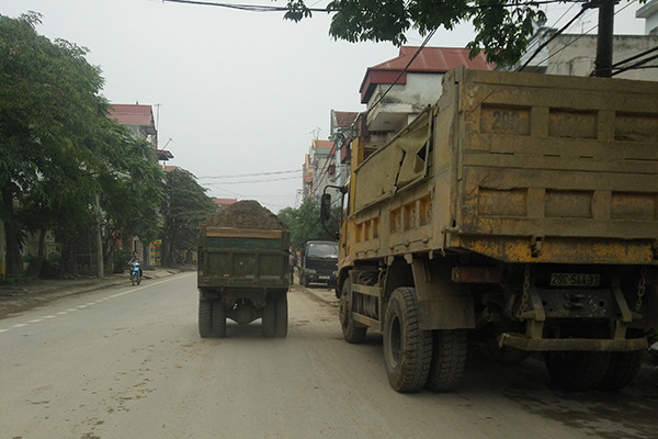 Thậm chí cả những chiếc "siêu nhỏ" cũng nghênh ngang chở cát cao chót vót.