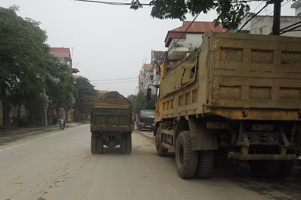 Thậm chí cả những chiếc "siêu nhỏ" cũng nghênh ngang chở cát cao chót vót.