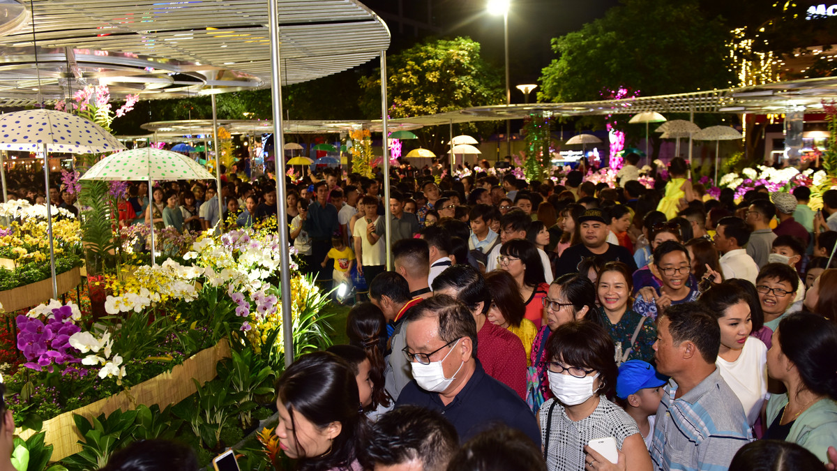 Sau lễ khai mạc, hàng vạn người dân TP và du khách đã vào tham quan đường hoa Nguyễn Huệ.