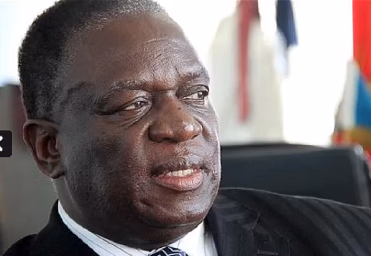 Nhan vat khien Tong thong Zimbabwe bi lat do la ai?-Hinh-5