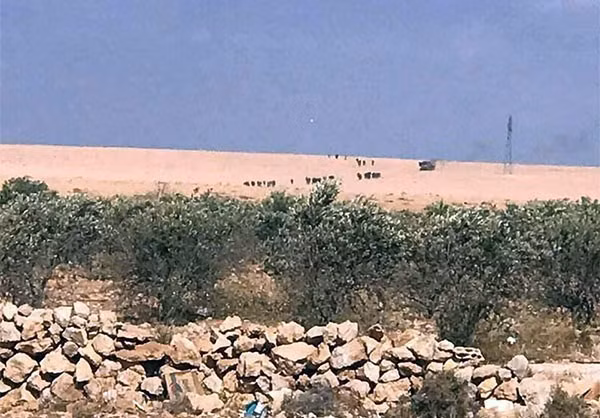 Vào tuần trước, Quân đội Syria do lực lượng Lá chắn Qalamoun thuộc Sư đoàn 3 chỉ huy đã tấn công một số ngôi làng ở phía bắc Sheikh Hilal nhằm giành lại quyền kiểm soát tuyến đường tiếp vận chính dẫn tới tỉnh Aleppo. Ảnh: FNA.