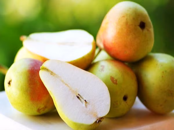 Quả lê: Lê cũng là 1 trong những thực phẩm chống ung thư phổi nhờ có hàm lượng chống oxy hóa cao.