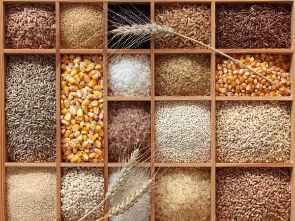 Ngũ cốc nguyên hạt: Các loại ngũ cốc nguyên hạt chứa nhiều loại vitamin B, chất xơ và vi chất dinh dưỡng khác. Theo nghiên cứu của Viện Nghiên cứu Ung thư Hoa Kỳ, thường xuyên sử dụng ngũ cốc nguyên hạt sẽ giúp giảm nguy cơ ung thư ruột.