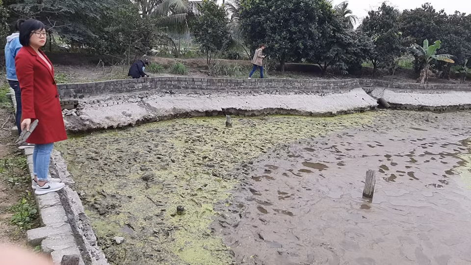 Khai quat khan cap 13 coc go nghi cua tran chien thang Bach Dang-Hinh-2