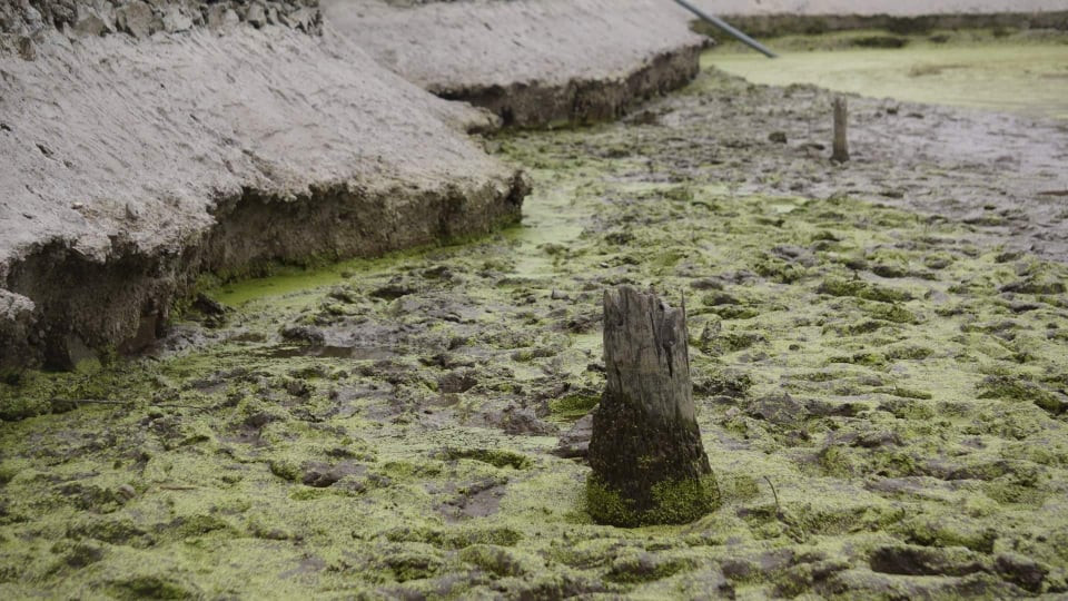 Khai quat khan cap 13 coc go nghi cua tran chien thang Bach Dang