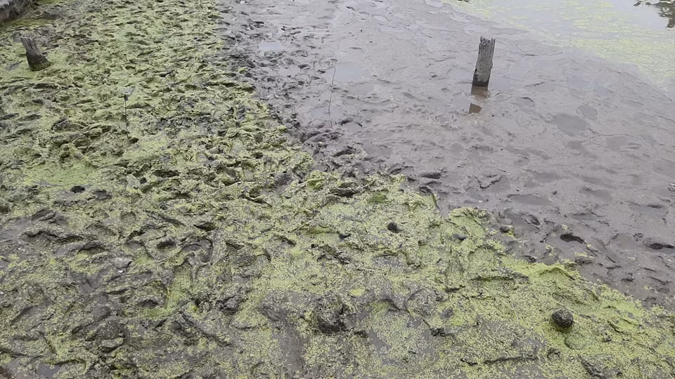 Khai quat khan cap 13 coc go nghi cua tran chien thang Bach Dang-Hinh-7