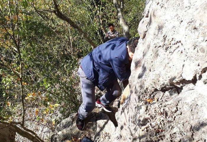 Ron nguoi hang quan tai ky bi 