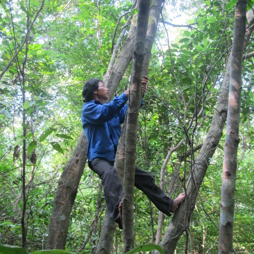 Ca lang “kiem” tien ty nho vao rung nhat… cua roi-Hinh-2