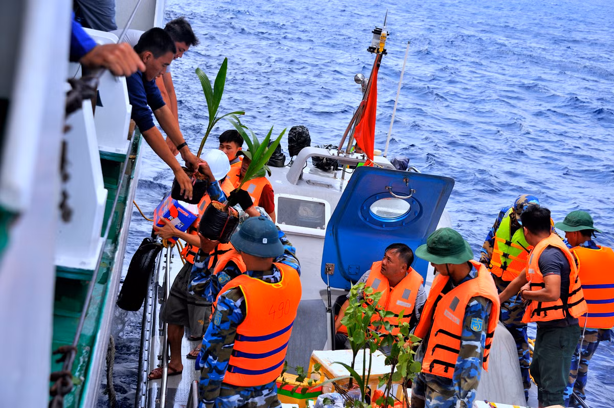 De Truong Sa khong chi xanh, dep ma con dom hoa, ket trai-Hinh-4