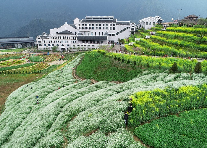 Chuyen chua ke ve nhung khong gian xanh tren nui-Hinh-5