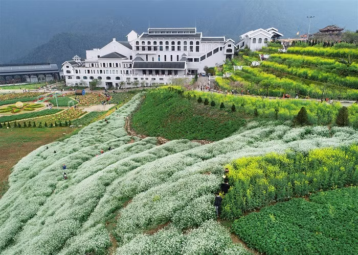 Chuyen chua ke ve nhung khong gian xanh tren nui-Hinh-5