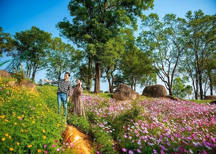 Chuyen chua ke ve nhung khong gian xanh tren nui-Hinh-3