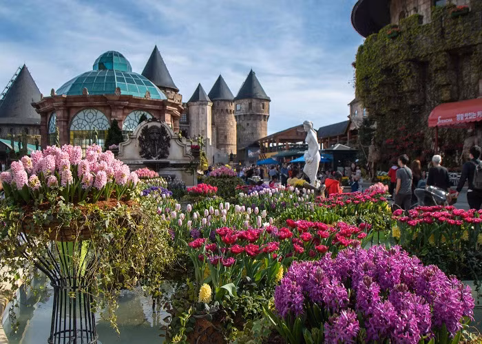 Chuyen chua ke ve nhung khong gian xanh tren nui-Hinh-2