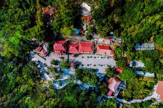 Chuyen chua ke ve nhung khong gian xanh tren nui-Hinh-4