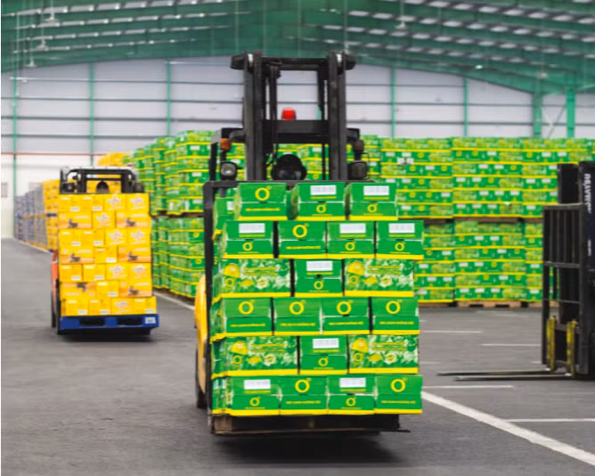 Tan Hiep Phat dang co giai phap gi trong dich benh COVID-19?-Hinh-2