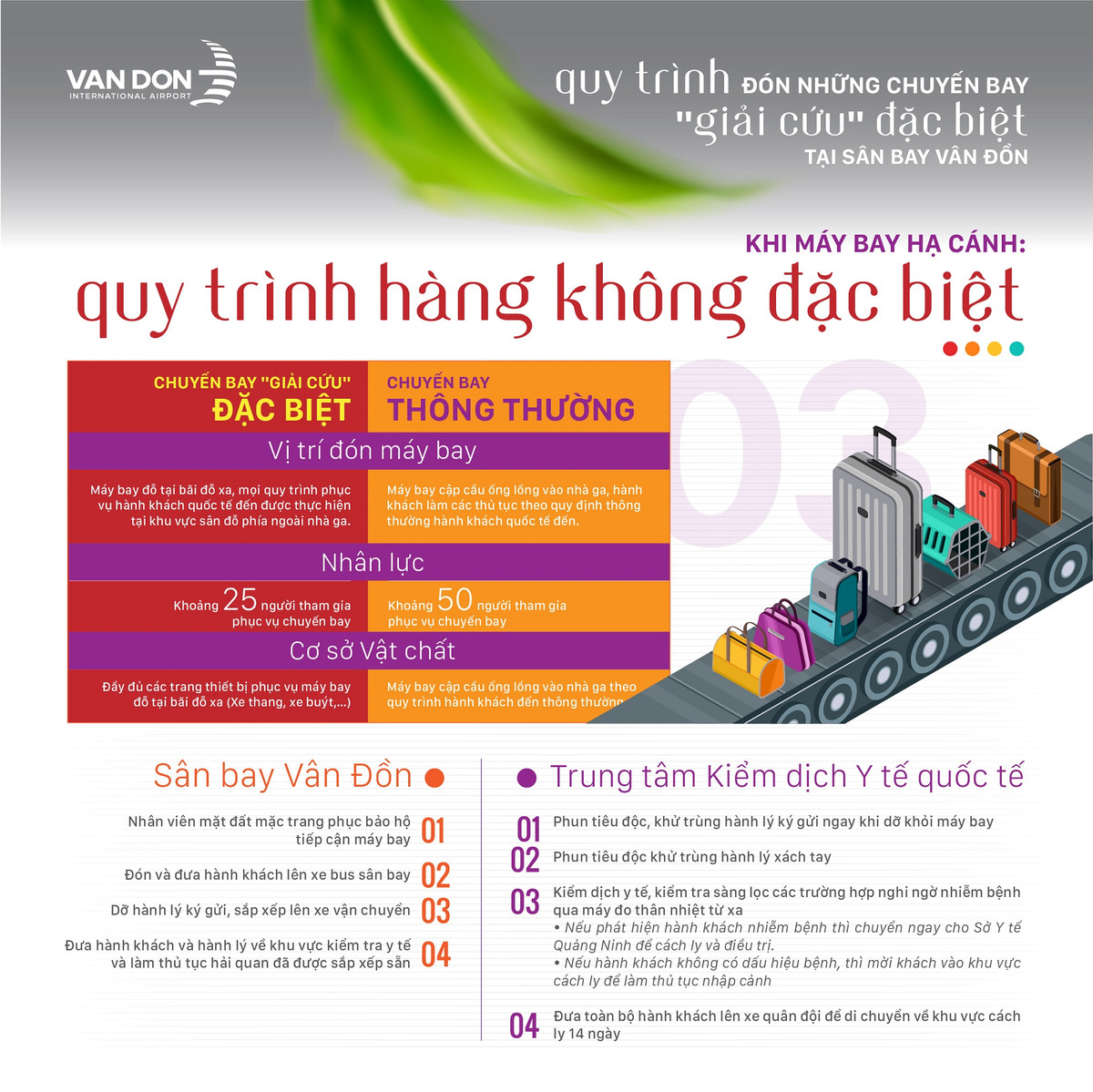 Nhieu chuyen bay cho nguoi Viet tu chau Au ha canh xuong san bay Van Don-Hinh-3