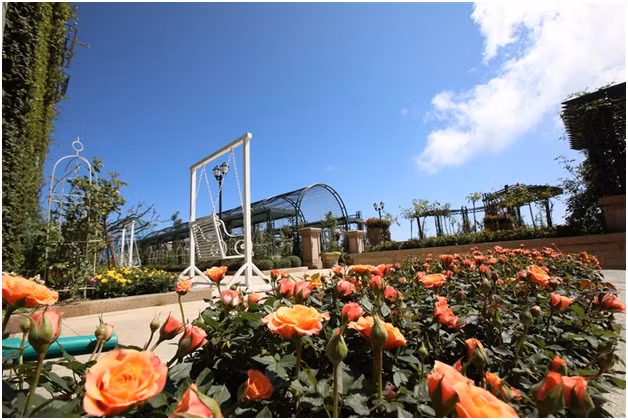 Du khach xep hang gian cach check in Ba Na Hills dip 30/4-Hinh-9