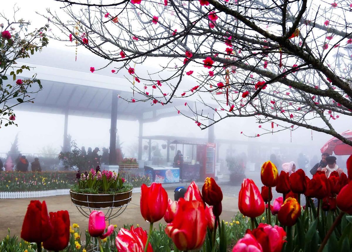 Don xuan khac la giua non ngan Tay Bac