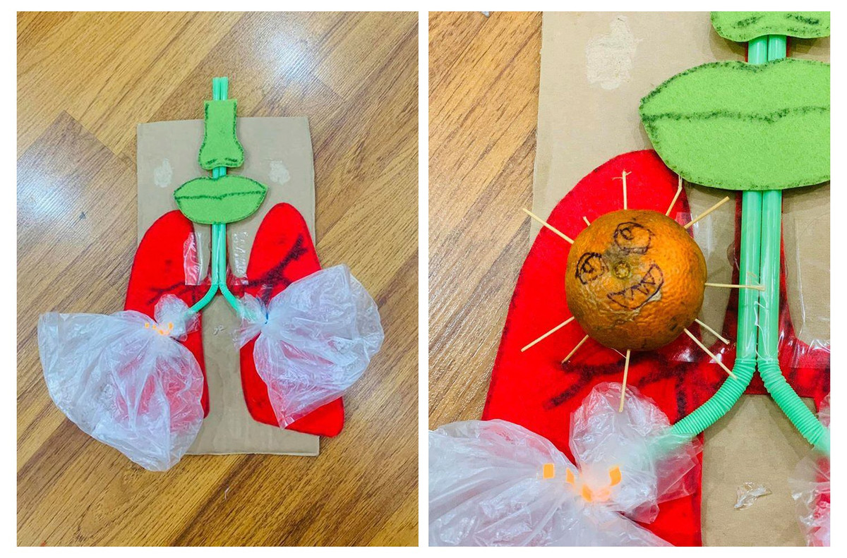 Choi cung con thoi “co vy”-Hinh-2