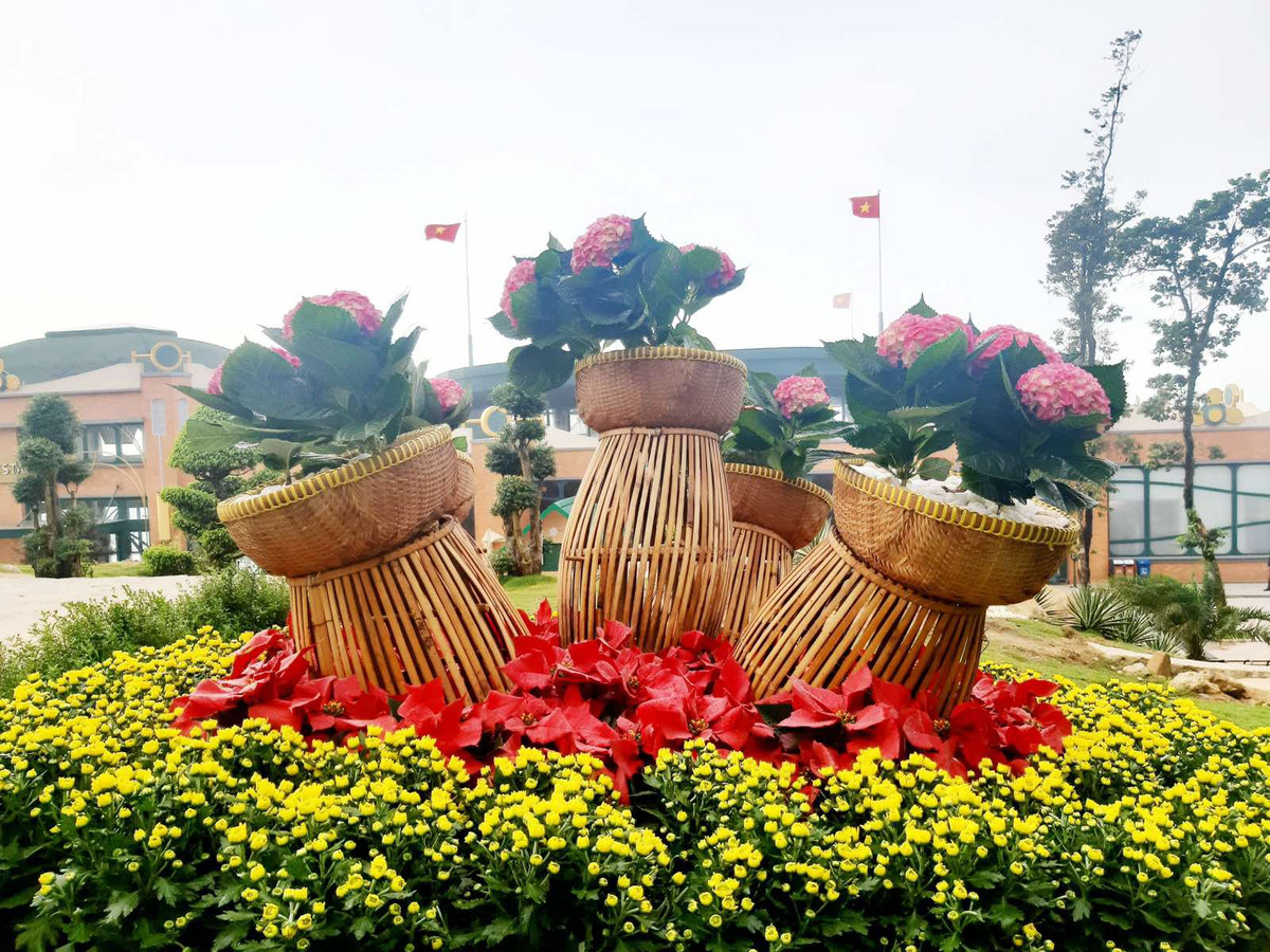 Hanh huong xuyen Viet dung bo qua Tay Ninh-Hinh-5