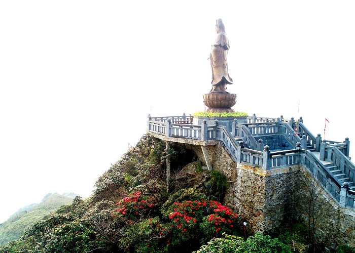 Với phông nền hoa siêu chất này, mỗi mùa đỗ quyên nở, nơi đây luôn trở thành điểm check-in không thể bỏ lỡ của những tâm hồn yêu xê dịch.