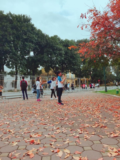 Chẳng trách mà dân đại học Bách khoa thi nhau khoe loạt ảnh 'sống ảo' dưới đây cùng cái cây 'thần thánh' này.