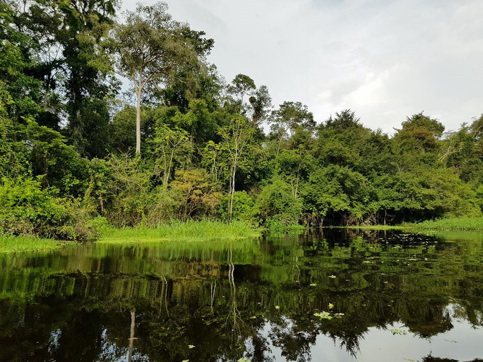 Trong hành trình chu du Nam Mỹ, chàng trai người Việt Trần Đặng Đăng Khoa đã có chuyến đi khám phá rừng rậm Amazon trên địa phận Peru.
