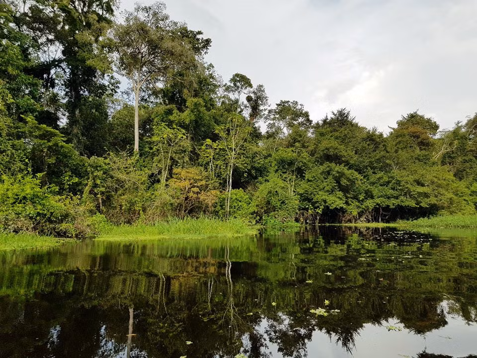 Trong hành trình chu du Nam Mỹ, chàng trai người Việt Trần Đặng Đăng Khoa đã có chuyến đi khám phá rừng rậm Amazon trên địa phận Peru.
