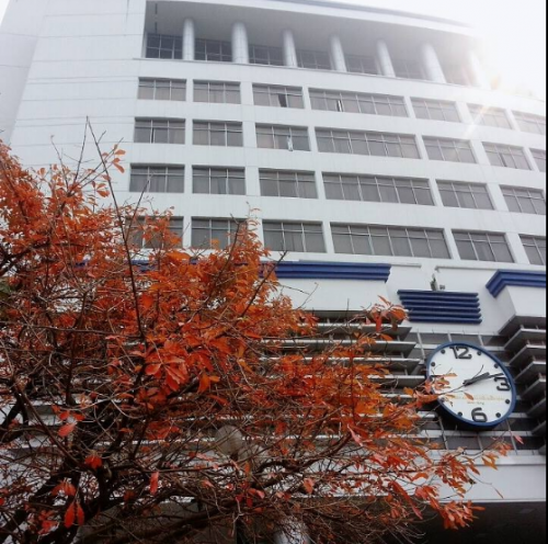 Trông như một mùa thu đang đến gần, dù bây giờ là sang xuân.