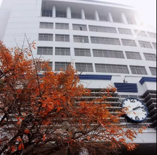 Trông như một mùa thu đang đến gần, dù bây giờ là sang xuân.