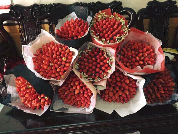 Đây là bức ảnh hoa dâu trên mạng.