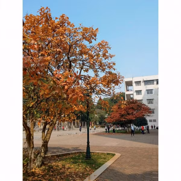 Một góc 'sống ảo' thần thánh lọt vào 'mắt xanh' của cô cậu sinh viên ưa chụp ảnh.