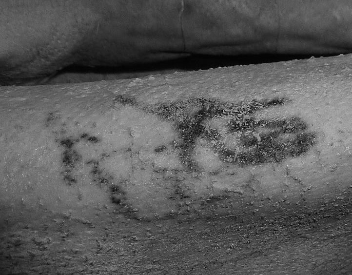 Trong nhiều nền văn minh cổ đại, cả hai loài vật trên thường biểu hiện cho sức mạnh nam giới, sự sinh sản và sáng tạo.