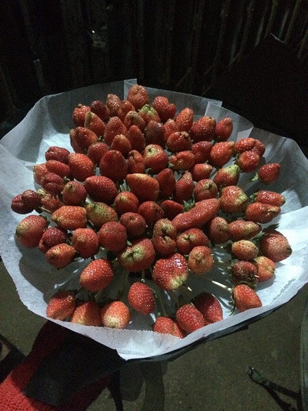 Còn đây là bó hoa của cô gái khi mua về.