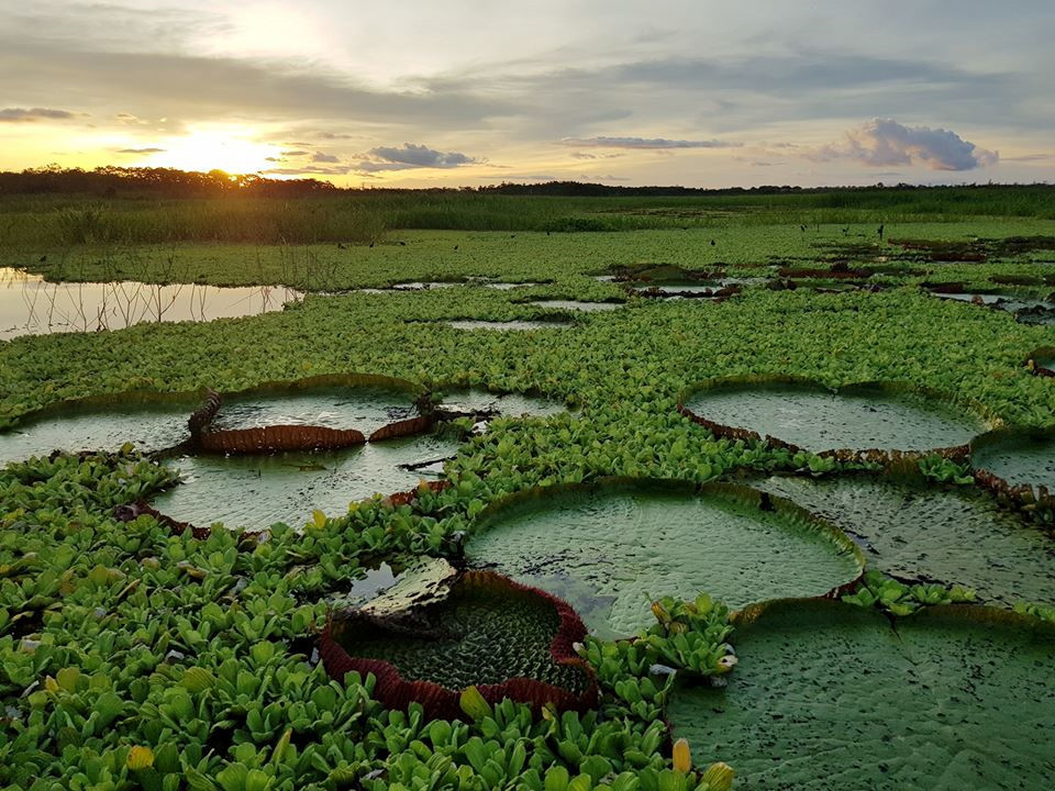 Sau khi rời Peru, Đăng Khoa sẽ lên đường sang Brazil và tiếp tục hành trình khám phá Nam Mỹ trong chuyến đi vòng quanh thế giới của mình.