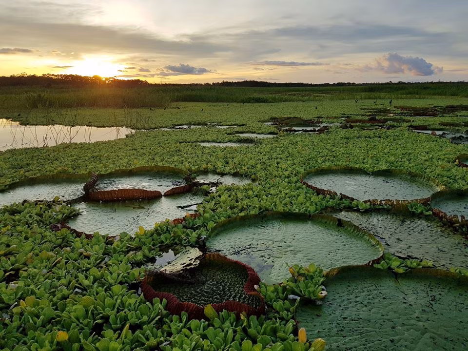 Sau khi rời Peru, Đăng Khoa sẽ lên đường sang Brazil và tiếp tục hành trình khám phá Nam Mỹ trong chuyến đi vòng quanh thế giới của mình.